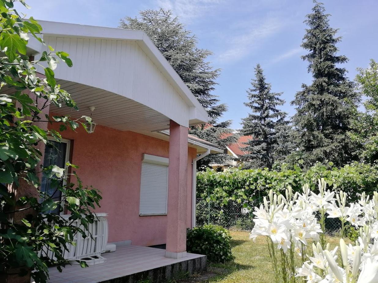 Feszek Apartmanhaz فونيارتْسفاشغ المظهر الخارجي الصورة