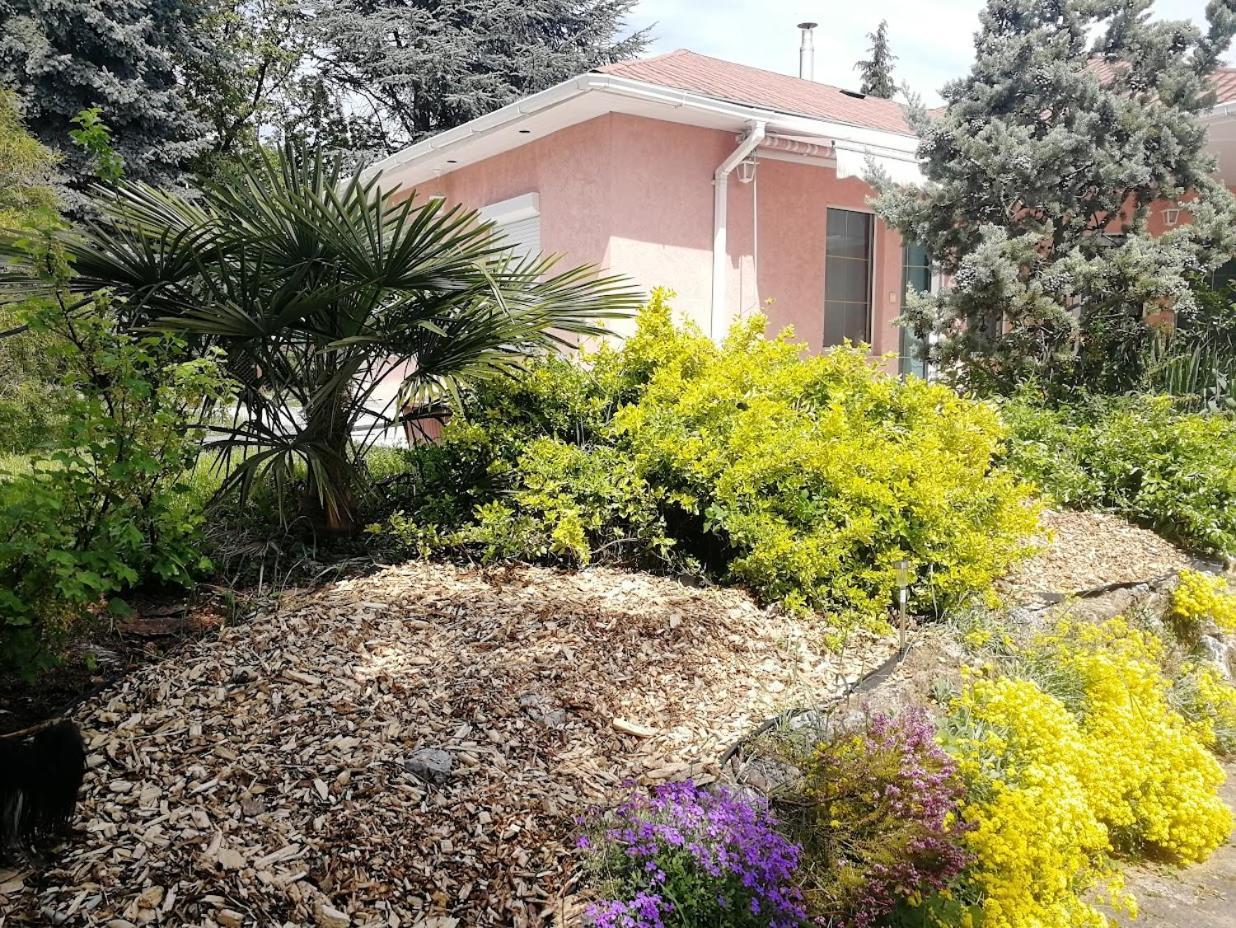 Feszek Apartmanhaz فونيارتْسفاشغ المظهر الخارجي الصورة