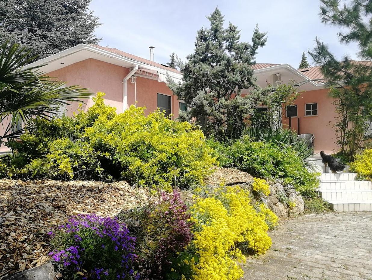 Feszek Apartmanhaz فونيارتْسفاشغ المظهر الخارجي الصورة