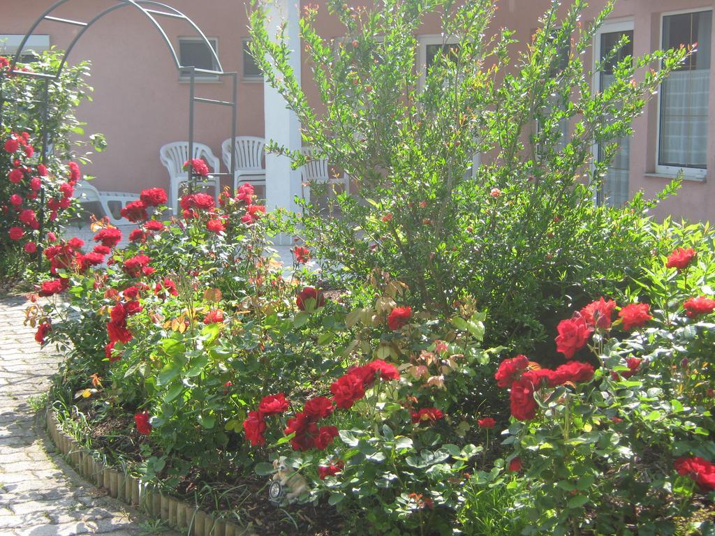 Feszek Apartmanhaz فونيارتْسفاشغ المظهر الخارجي الصورة